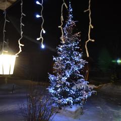 Гостевой дом Усадьба Агаш, Артыбаш, Республика Алтай