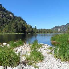 База отдыха Бия заповедная, Турочакский район, Республика Алтай