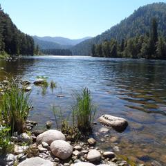 База отдыха Бия заповедная, Турочакский район, Республика Алтай