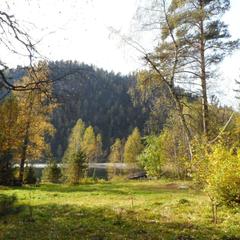 База отдыха Бия заповедная, Турочакский район, Республика Алтай