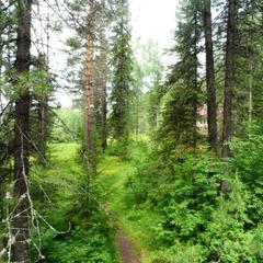 База отдыха Бия заповедная, Турочакский район, Республика Алтай
