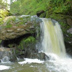 База отдыха Бия заповедная, Турочакский район, Республика Алтай