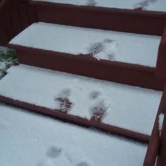 Гостиница Меридиан, Архангельск, Архангельская область