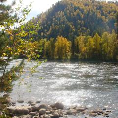 База отдыха Бия заповедная, Турочакский район, Республика Алтай
