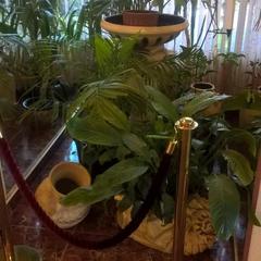 Гостиница Меридиан, Архангельск, Архангельская область