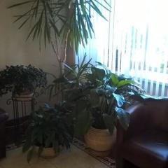 Гостиница Меридиан, Архангельск, Архангельская область