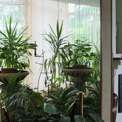 Гостиница Меридиан, Архангельск, Архангельская область