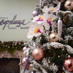 Отель Северница, Архангельск, Архангельская область