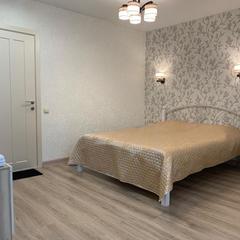 Апарт-отель На Новгородской 87, Архангельск, Архангельская область