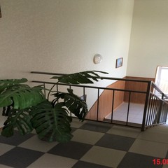 Гостевой дом Гармония, село Архипо-Осиповка, Краснодарский край