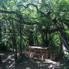 Кемпинг  Солнечный на Вишневой, село Архипо-Осиповка, Краснодарский край