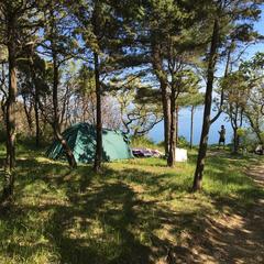 Кемпинг  Солнечный на Вишневой, село Архипо-Осиповка, Краснодарский край