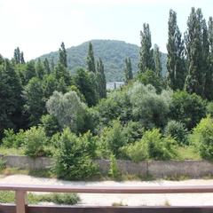 Гостевой дом Пчелка, село Архипо-Осиповка, Краснодарский край