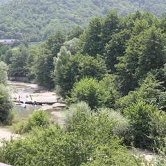 Гостевой дом Пчелка, село Архипо-Осиповка, Краснодарский край