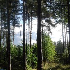 Турбаза Нарат, Архыз, Республика Карачаево-Черкесия