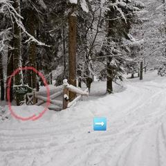 Гостевой дом Лесогорье, Архыз, Республика Карачаево-Черкесия