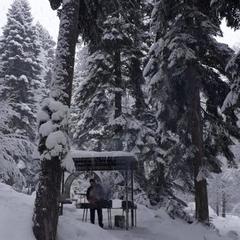 Гостевой дом Лесогорье, Архыз, Республика Карачаево-Черкесия