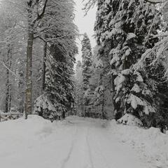 Гостевой дом Лесогорье, Архыз, Республика Карачаево-Черкесия