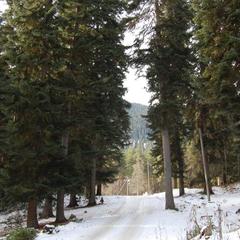 Гостевой дом Лесогорье, Архыз, Республика Карачаево-Черкесия