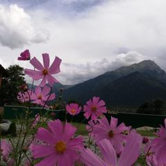 Гостевой дом Горный ветер, Архыз, Республика Карачаево-Черкесия