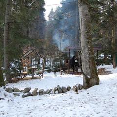 Гостевой дом Лесогорье, Архыз, Республика Карачаево-Черкесия