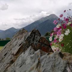 Гостевой дом Горный ветер, Архыз, Республика Карачаево-Черкесия