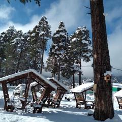 Гостевой дом Сосновый рай, Архыз, Республика Карачаево-Черкесия