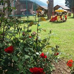 Гостевой дом Сосновый рай, Архыз, Республика Карачаево-Черкесия