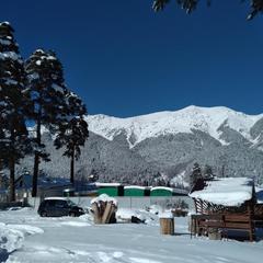 Гостевой дом Сосновый рай, Архыз, Республика Карачаево-Черкесия