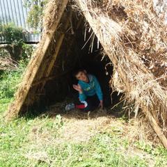 Гостевой дом Сосновый рай, Архыз, Республика Карачаево-Черкесия