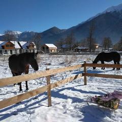Шале Чинар, Архыз, Республика Карачаево-Черкесия