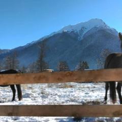 Шале Чинар, Архыз, Республика Карачаево-Черкесия