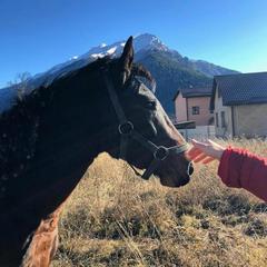 Шале Чинар, Архыз, Республика Карачаево-Черкесия