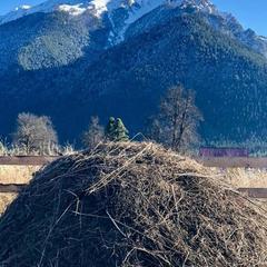 Шале Чинар, Архыз, Республика Карачаево-Черкесия