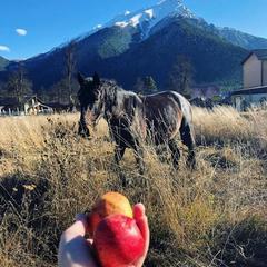 Шале Чинар, Архыз, Республика Карачаево-Черкесия