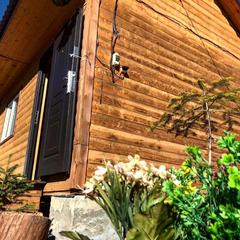 Шале Чинар, Архыз, Республика Карачаево-Черкесия