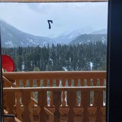 Гостевой дом Сруб Хаус, Архыз, Республика Карачаево-Черкесия