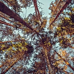 База отдыха Асташево, Асташево, Костромская область