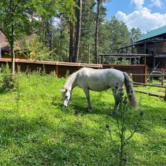 Дом отдыха Кабин, Аскат, Республика Алтай