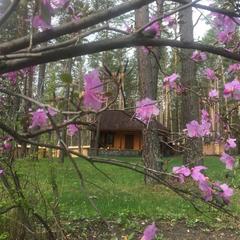Дом отдыха Кабин, Аскат, Республика Алтай