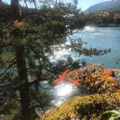 Дом отдыха Кабин, Аскат, Республика Алтай