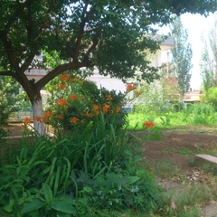 Гостиница Берег, Астрахань, Астраханская область