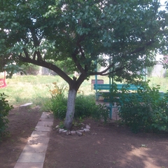 Гостиница Берег, Астрахань, Астраханская область