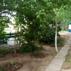 Гостиница Берег, Астрахань, Астраханская область