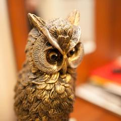 Мини-отель Астра, Астрахань, Астраханская область