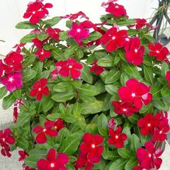 Отель Визит, Астрахань, Астраханская область