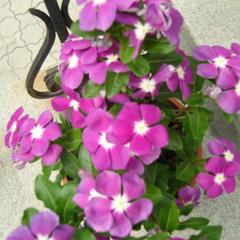 Отель Визит, Астрахань, Астраханская область