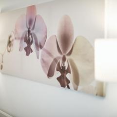 Мини-отель Гагарин, Астрахань, Астраханская область