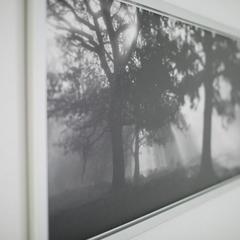 Мини-отель Гагарин, Астрахань, Астраханская область