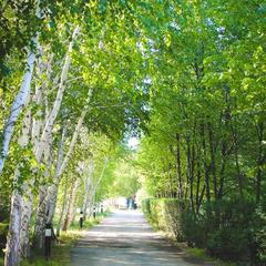 База отдыха Волжанка в Растопуловке, Растопуловка, Астраханская область